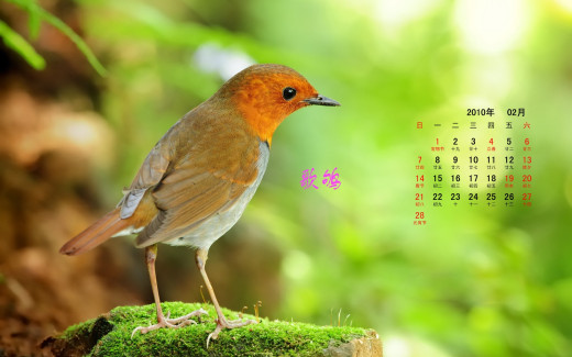 484612 (a): :1920x1200
